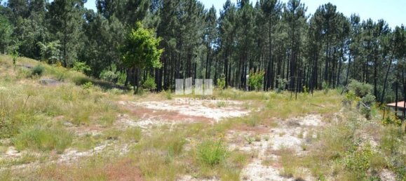 10300m² Land in Marco de Canaveses, Portugal No. 59602 18
