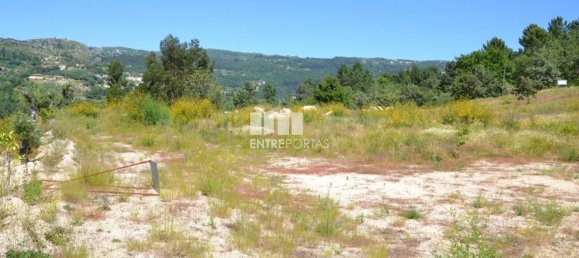 10300m² Land in Marco de Canaveses, Portugal No. 59602 14