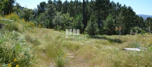 10300m² Land in Marco de Canaveses, Portugal No. 59602 10