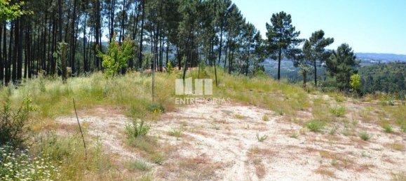 10300m² Land in Marco de Canaveses, Portugal No. 59602 11