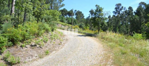 10300m² Land in Marco de Canaveses, Portugal No. 59602 21