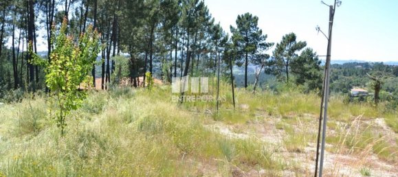 10300m² Land in Marco de Canaveses, Portugal No. 59602 17
