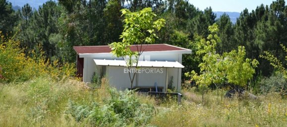 10300m² Land in Marco de Canaveses, Portugal No. 59602 8