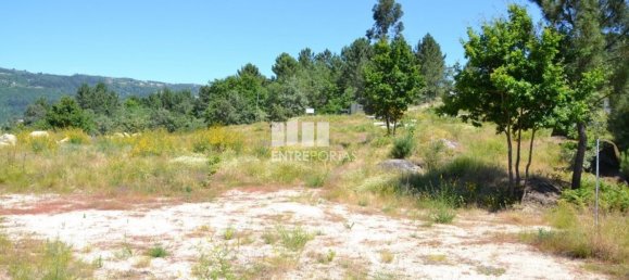 10300m² Land in Marco de Canaveses, Portugal No. 59602 15