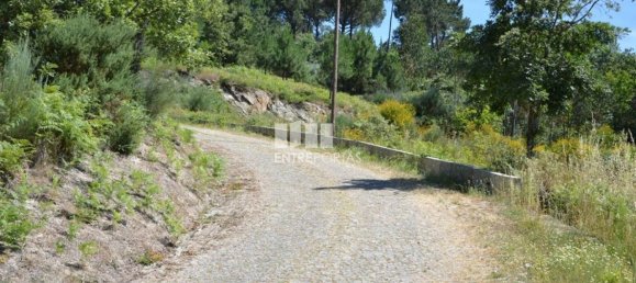 10300m² Land in Marco de Canaveses, Portugal No. 59602 22