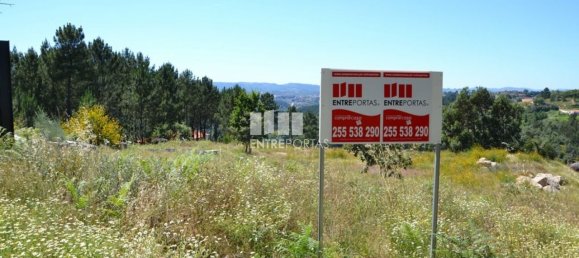 10300m² Land in Marco de Canaveses, Portugal No. 59602 2