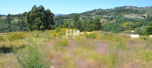 10300m² Land in Marco de Canaveses, Portugal No. 59602 9