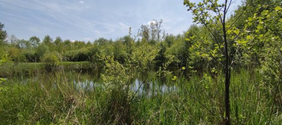 Grundstück in Cambron, France 13000m², Nr. 109369 6