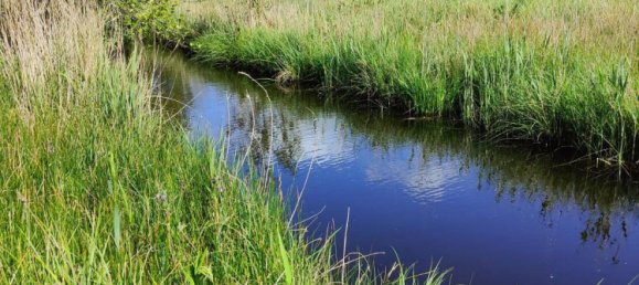 Grundstück in Cambron, France 13000m², Nr. 109369 16