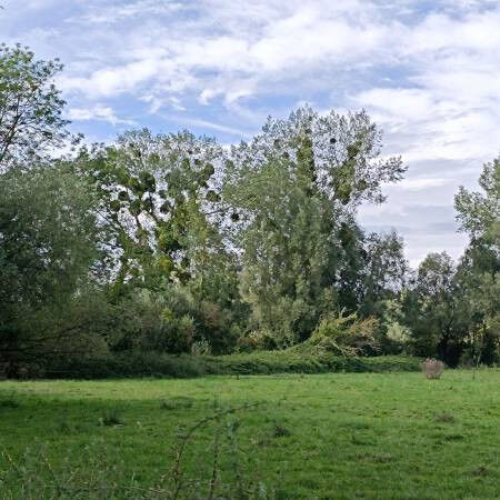 Grundstück in Cambron, France 13000m², Nr. 109369