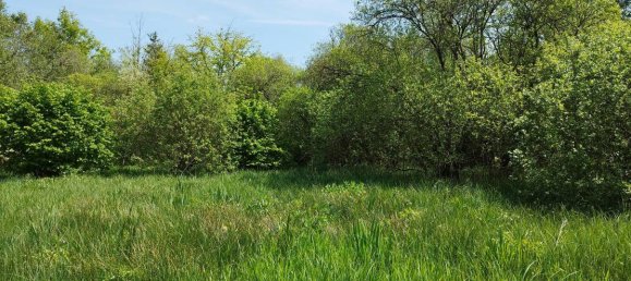 Grundstück in Cambron, France 13000m², Nr. 109369 7