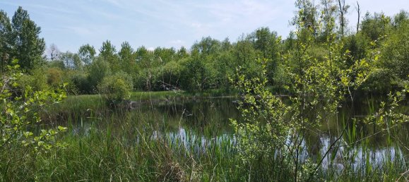 Grundstück in Cambron, France 13000m², Nr. 109369 5