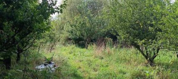 Grundstück in Cambron, France 13000m², Nr. 109369 2