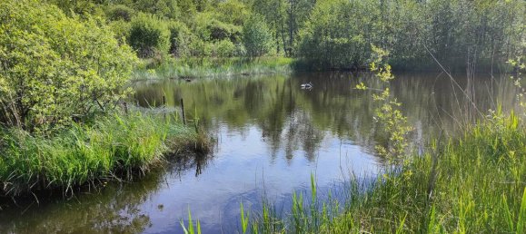 Grundstück in Cambron, France 13000m², Nr. 109369 3