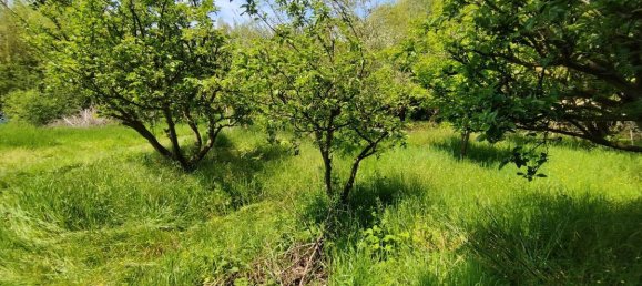 Grundstück in Cambron, France 13000m², Nr. 109369 4