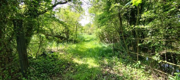 Grundstück in Cambron, France 13000m², Nr. 109369 9