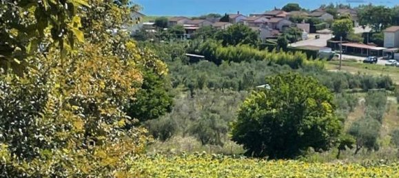 17-salle Maison à Senigallia, Italy No. 298768 14