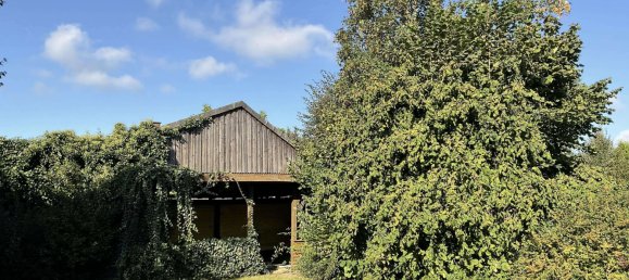 7-salle Maison de ville à Gifhorn, Germany No. 149405 6