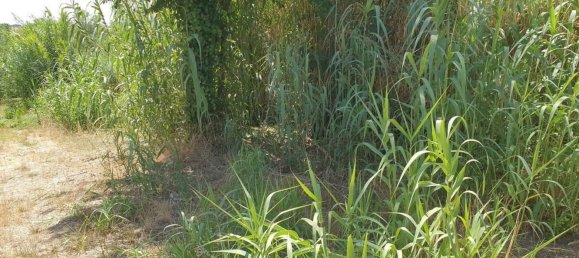 8-salle Maison à Lamporecchio, Italy No. 274709 31