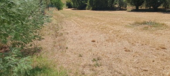 8-salle Maison à Lamporecchio, Italy No. 274709 26