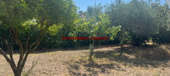 2 bedrooms Villa in Velletri, Italy No. 171863 51