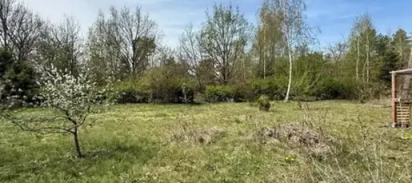 Земельный участок в Даме-Шпревальд, Германия № 79166 5