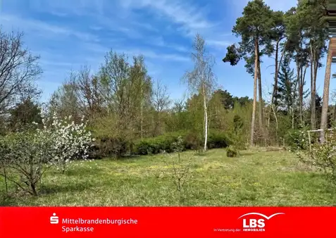 Земельный участок в Даме-Шпревальд, Германия № 79166