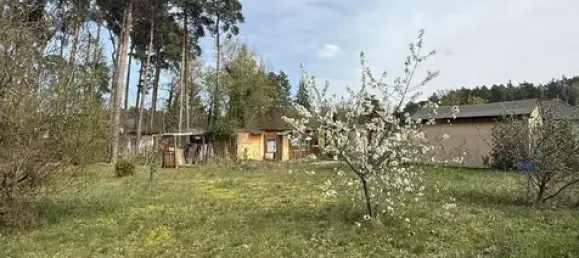 Земельный участок в Даме-Шпревальд, Германия № 79166 6