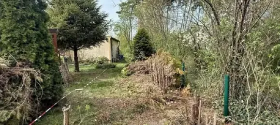 Земельный участок в Даме-Шпревальд, Германия № 79166 7