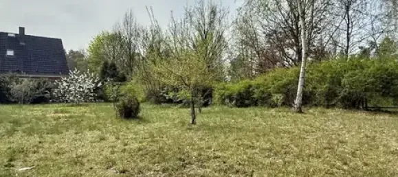 Земельный участок в Даме-Шпревальд, Германия № 79166 3