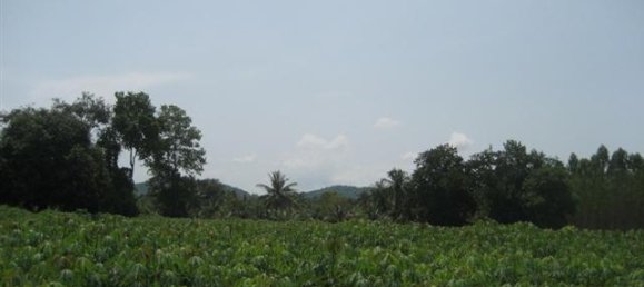  Commercial property in Pattaya, Thailand No. 6183 10