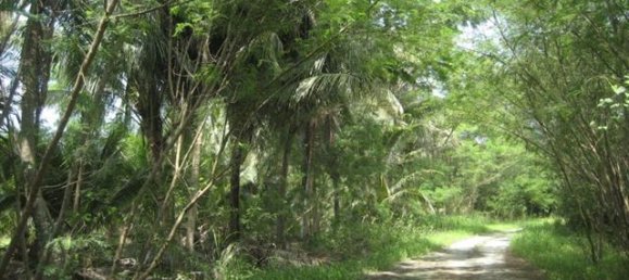  Commercial property in Pattaya, Thailand No. 6183 3