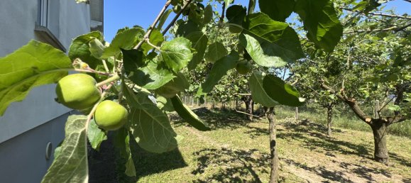 4 Schlafzimmer Schlösser in Rumersheim-le-Haut, France, Nr. 89238 2