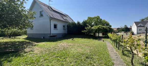 4 Schlafzimmer Schlösser in Rumersheim-le-Haut, France, Nr. 89238 15