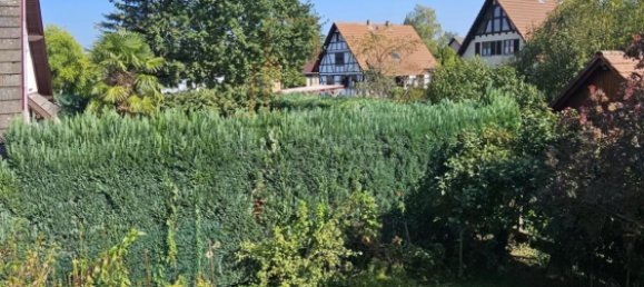 4 غرف نوم فيلا في Beinheim, France رقم 47756 29