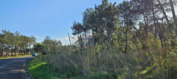  Land in Caldas da Rainha, Portugal No. 112841 14