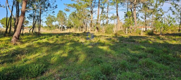  Land in Caldas da Rainha, Portugal No. 112841 12