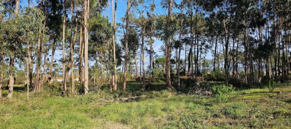  Land in Caldas da Rainha, Portugal No. 112841 11