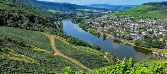 Отель, гостиница с 22 комнатами в Бернкастель-Витлих, Германия № 149367 33