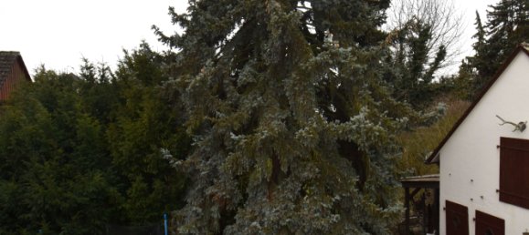 6 bedrooms Townhouse in Main-Taunus, Germany No. 242267 9