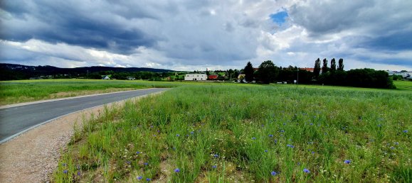 Земельный участок в Фогтланд, Германия № 31318 8