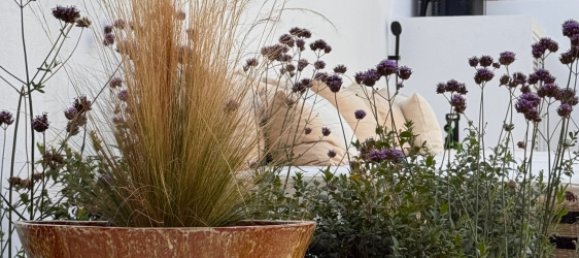 4 Schlafzimmer Villa in Grandola, Portugal, Nr. 263576 31