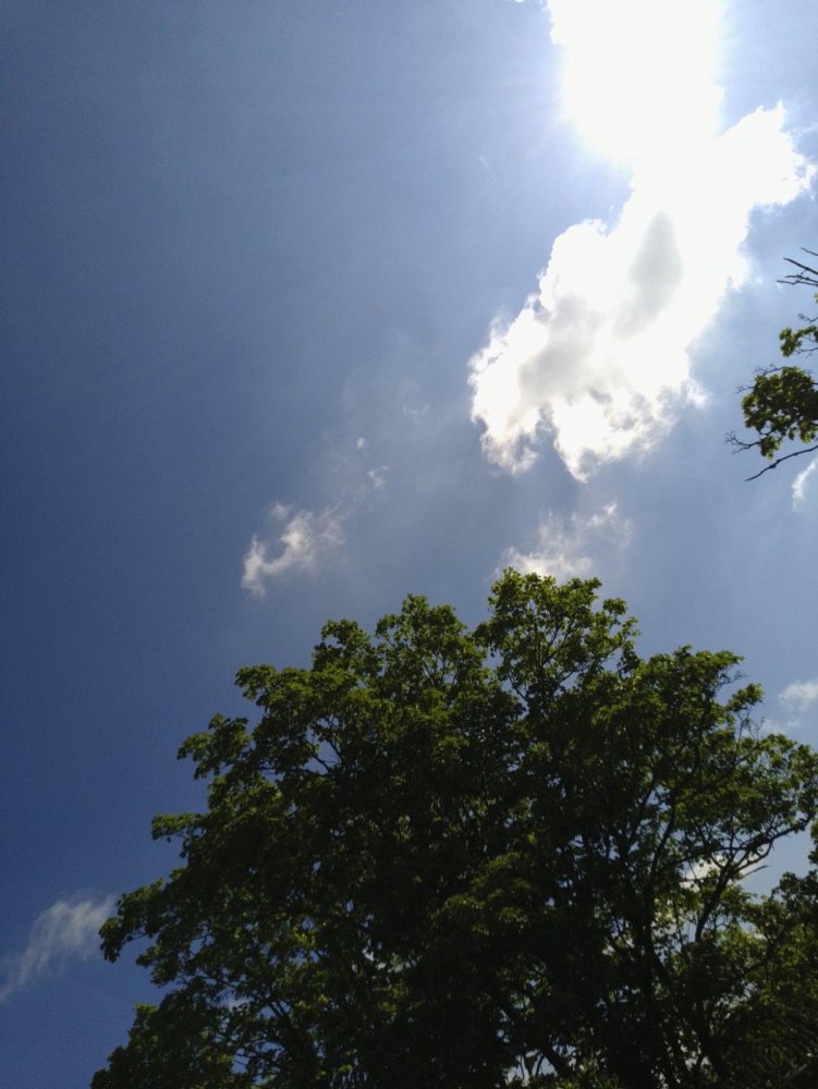 3غرفة بانتهاوس في Gottingen, Germany رقم 328295