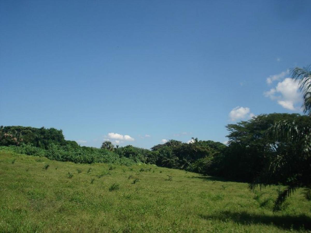 Grundstück in Veracruz, Mexico, Nr. 203413