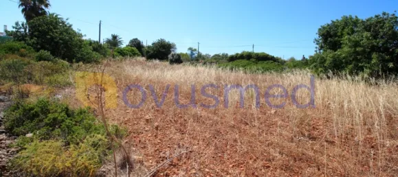 قطعة أرض في Albufeira, Portugal 5724متر مربع رقم 116037 37