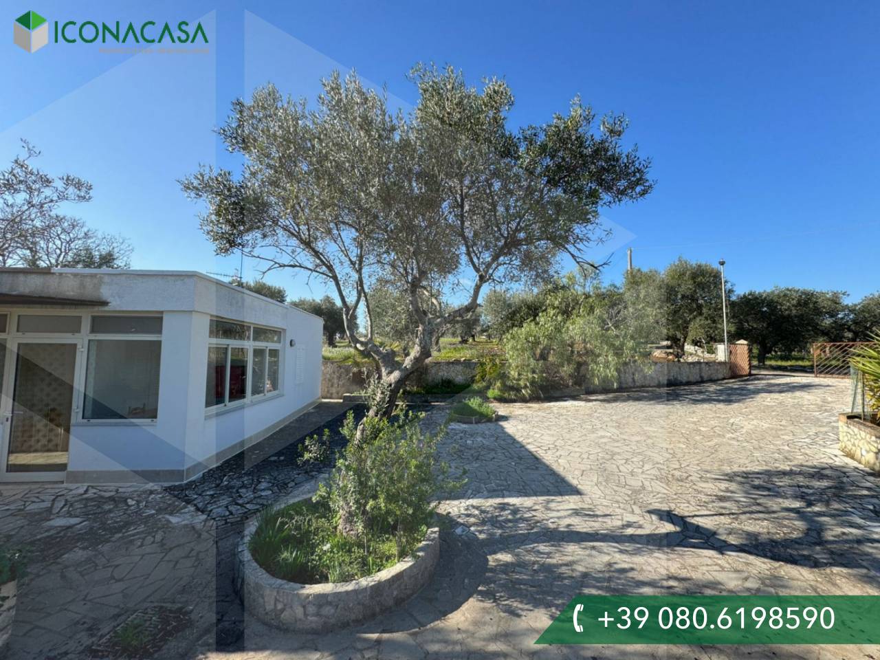 4 rooms Villa in Monopoli, Italy No. 17387