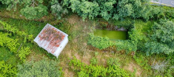 5 غرف نوم قلاع في Resende, Portugal رقم 183689 8