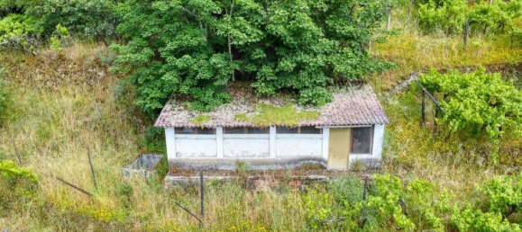 5 غرف نوم قلاع في Resende, Portugal رقم 183689 7