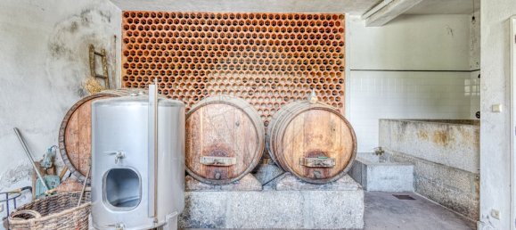 5 غرف نوم قلاع في Resende, Portugal رقم 183689 30