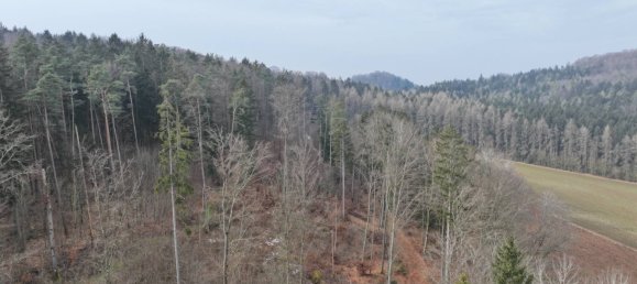 Terrain à Neustadt an der Waldnaab, Germany No. 133961 3